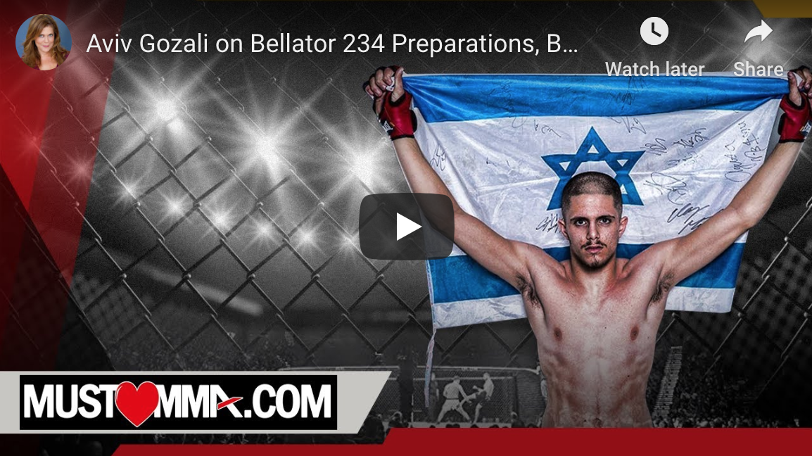 aviv gozali bellator 234