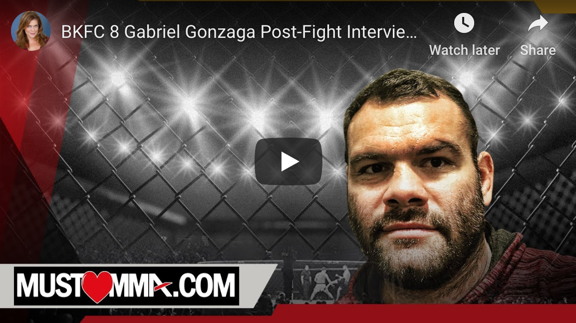 gabriel gonzaga bkfc 8