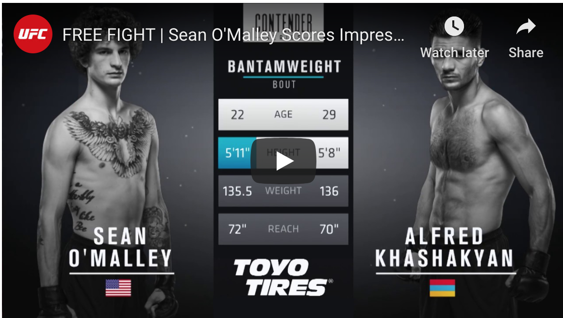 dwtncs sean omally alfred khashakyan