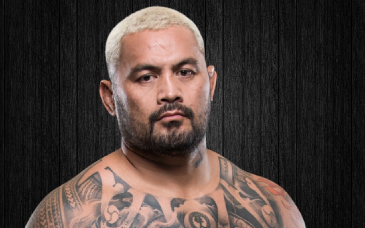 mark hunt ufc