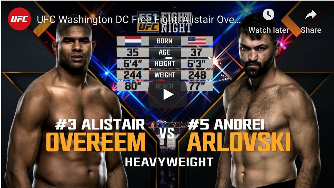 ufc rotterdam alistair overeeem andrei arlovski